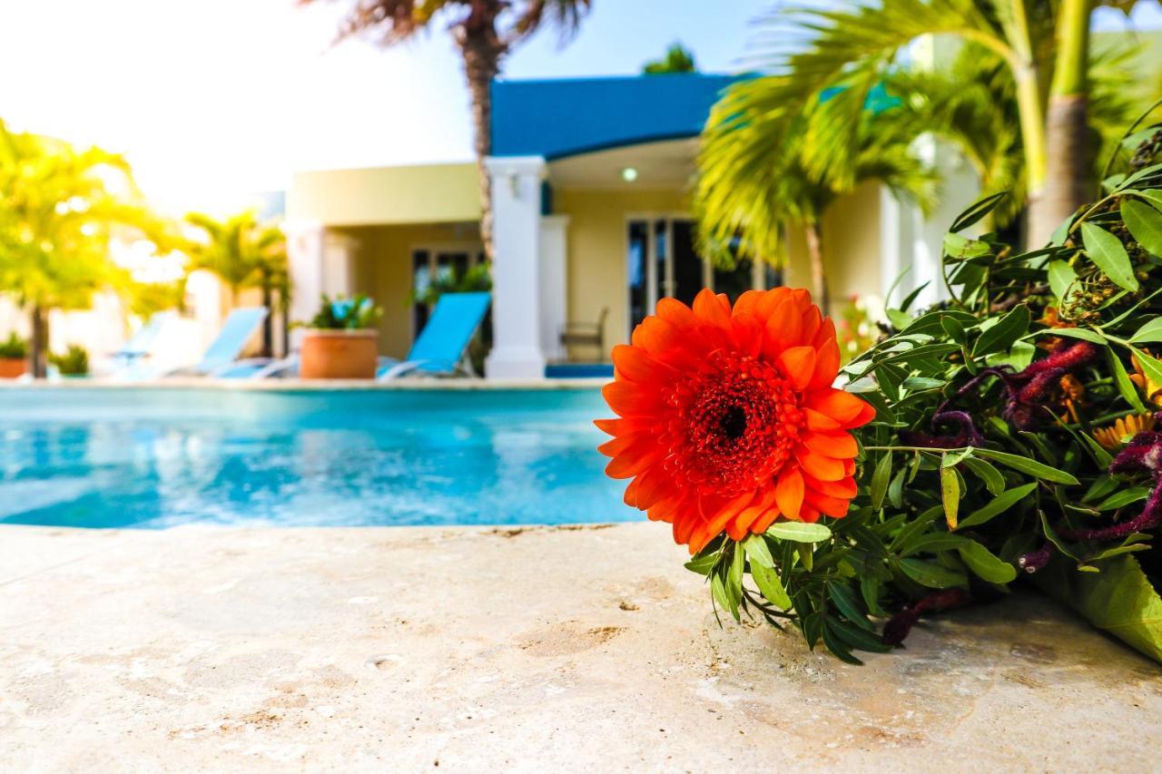 Aqua Viva Suites Kralendijk  Ngoại thất bức ảnh
